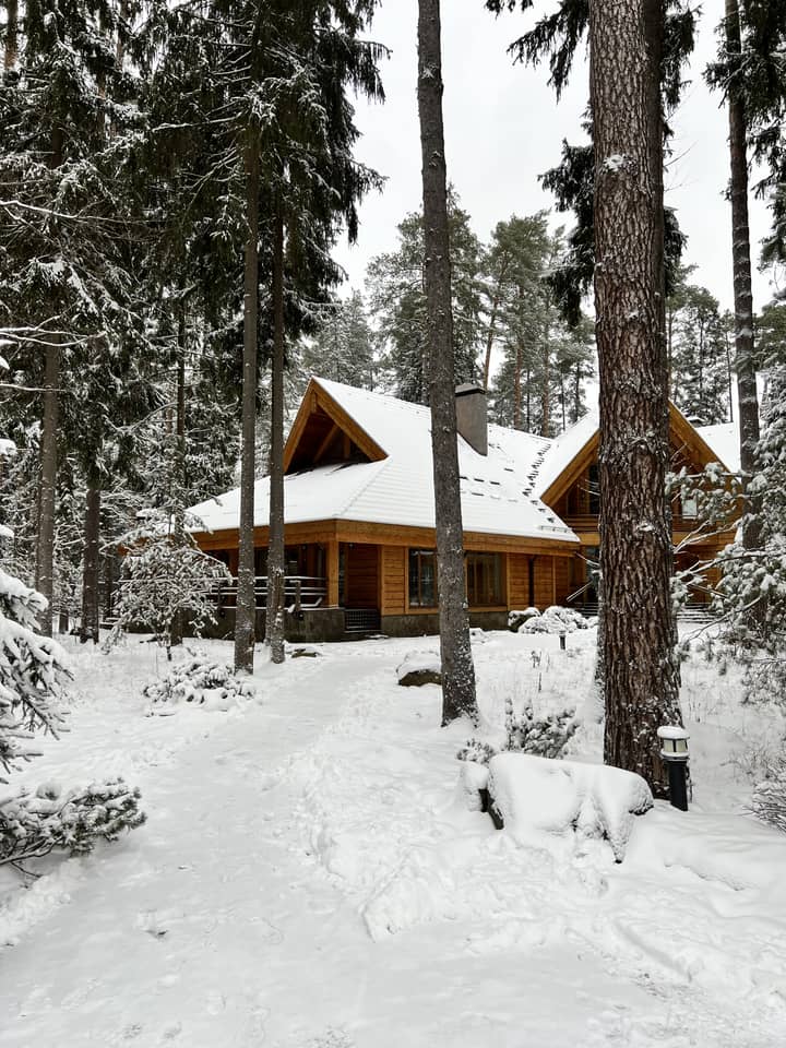 Локация Royal Time в зимнем лесу